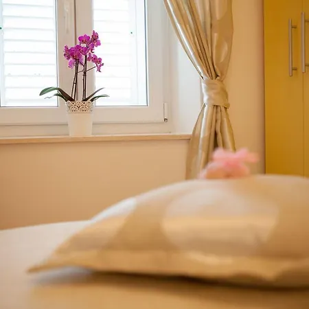 Apartman Summer Lounge