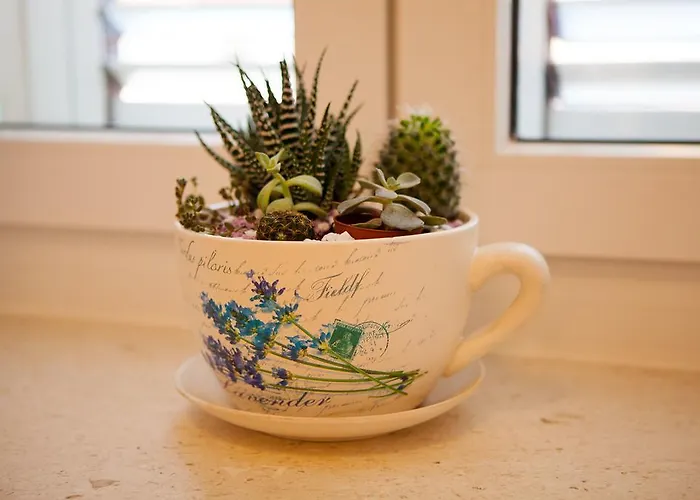 公寓 Summer Lounge *