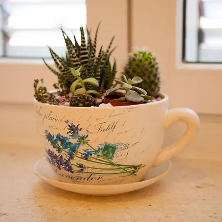 Lejlighed Summer Lounge *